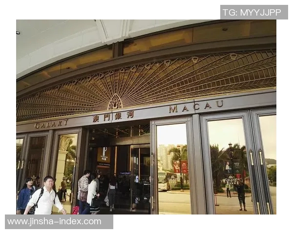 澳门金沙娱乐场438-澳门金沙娱乐场438的神秘面纱与迷人风采-澳门金沙娱乐场438